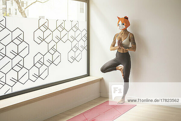 Woman wearing animal mask standing on one leg in yoga studio