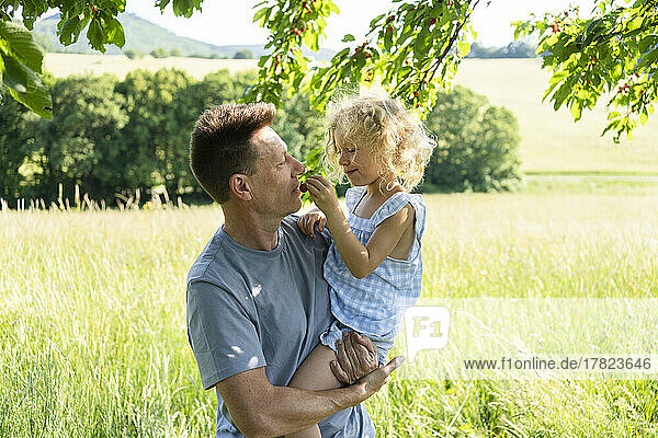 Girl feeding cherry to father at field