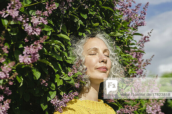 Beautiful woman with eyes closed standing under lilac tree on sunny day at park