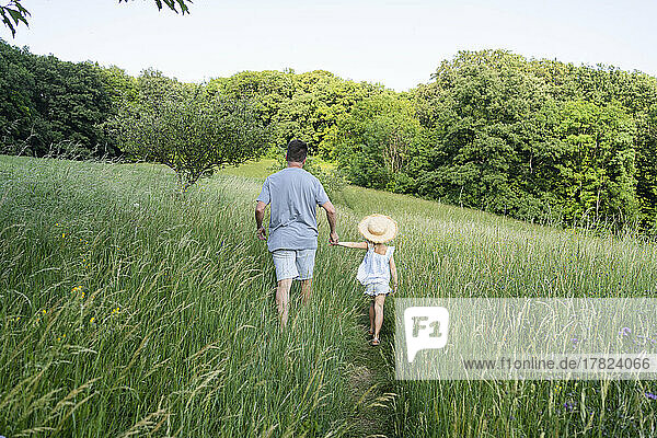 Father and daughter holding hands walking through field