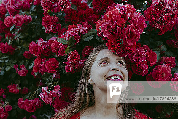 Happy woman standing under bush of red roses