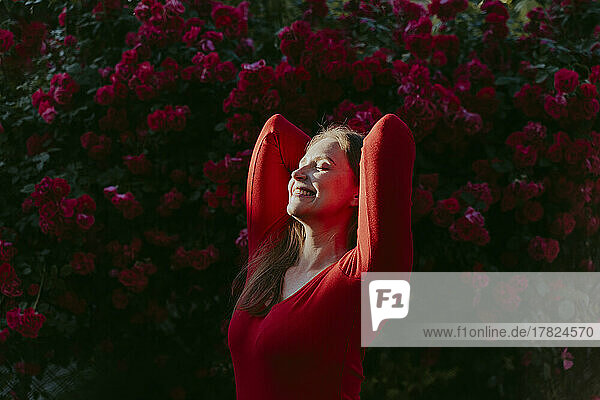 Glückliche Frau mit den Händen hinter dem Kopf genießt das Sonnenlicht vor einem Rosenstrauch