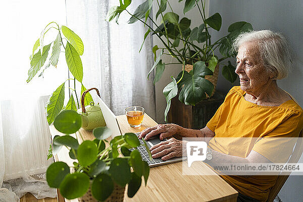 Senior woman with gray hair using laptop at home