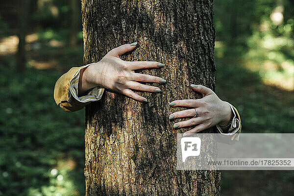 Hands of woman embracing tree in forest