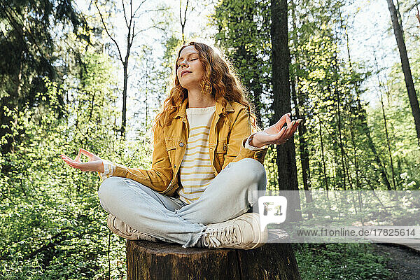 Frau meditiert über Baumstumpf im Wald