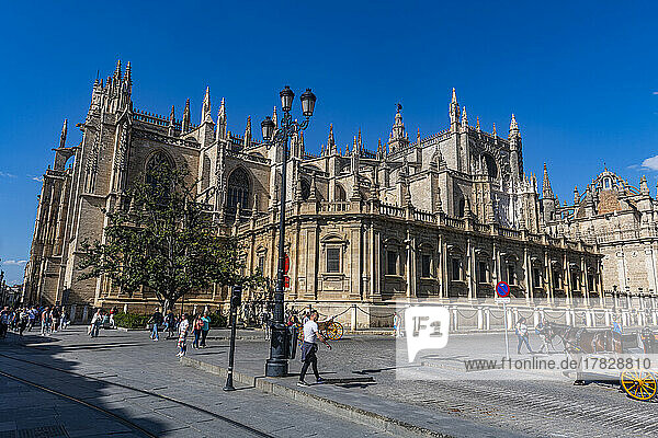 Kathedrale von Sevilla  UNESCO-Weltkulturerbe  Sevilla  Andalusien  Spanien  Europa