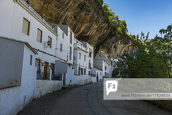 In Felsüberhänge gebaute Behausungen über dem Rio Guadalporcun  Setenil de las Bodegas  Andalusien  Spanien  Europa