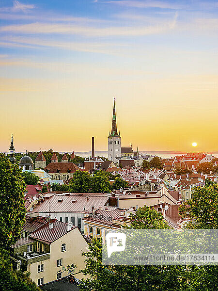 View over the Old Town towards St. Olaf's Church at sunrise  UNESCO World Heritage Site  Tallinn  Estonia  Europe
