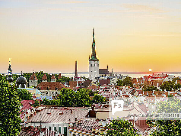 Blick über die Altstadt auf die St. Olafs Kirche bei Sonnenaufgang  UNESCO-Weltkulturerbe  Tallinn  Estland  Europa