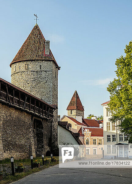 Old Town Walls at sunset  UNESCO World Heritage Site  Tallinn  Estonia  Europe