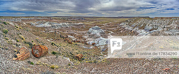 View of Jasper Forest from the southern side of Agate Plateau  Petrified Forest National Park  Arizona  United States of America  North America