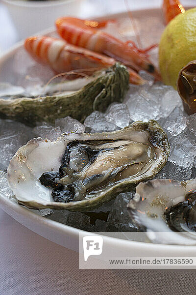 Oyster and seafood
