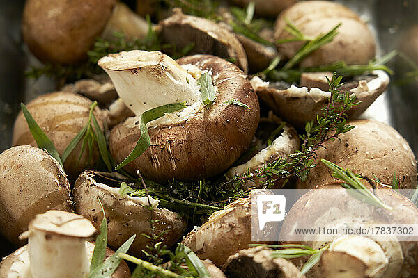 Gebratene Pilze mit Kräutern (Close Up)