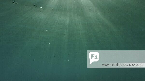 Sonnenstrahlen dringen durch die Wasseroberfläche. Das Unterwasserlicht erzeugt einen schönen Schleier aus Sonnenlicht. Sonnenstrahlen bei Sonnenuntergang unter der Wasseroberfläche. Rotes Meer  Ägypten  Afrika