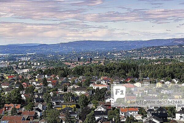 Aussicht vom Gipfel Grefsenkollen auf Häuser und Waldgebiete  Blick auf die Stadt im Sommer  Oslo  Norwegen  Europa