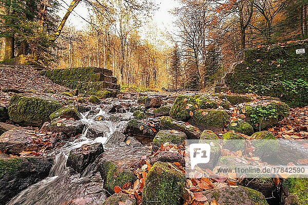 Strömendes Wasser im Monbachtal zur Herbstzeit  Schwarzwald  Deutschland  Europa