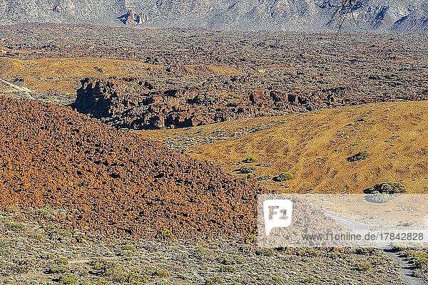 Mount Teide National Park  Tenerife  Canary Islands  Spain  Europe