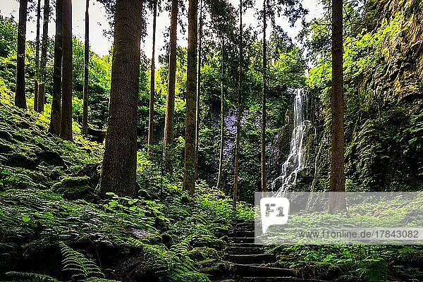 Wasserfall mit alter Steintreppe im grünen Wald  der Burgbachwasserfall bei Schapbach im Schwarzwald  Baden-Württemberg  Deutschland  Europa