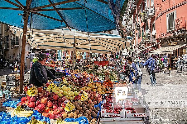 Obststand Im Marktviertel Montesanto  Neapel  Golf von Neapel  Kampanien  Süditalien  Italien  Europa