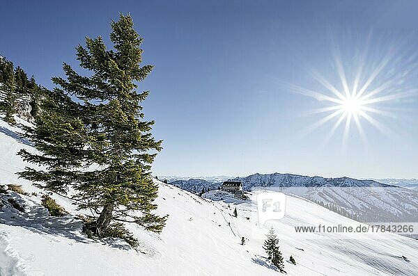 Berghütte Rotwandhaus  im Winter  Skitour auf die Rotwand  Sonnenstern  Mangfallgebirge  Bayern  Deutschland  Europa