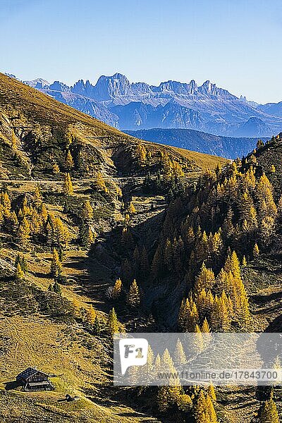 Herbstliche Berglandschaft mit kleiner Berghütte in der Abendsonne  hinten die Bergkulisse der Dolomiten  Ski- und Wandergebiet Meran 2000  nahe Meran  Südtirol  Italien  Europa