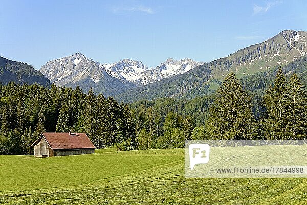 Ausblick zu den Bergen im Stillachtal  gemähte Wiesen mit einem Holzschuppen  Allgäuer Alpen  Allgäu  Bayern  Deutschland  Europa