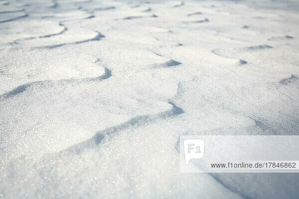 Schneeverwehungen durch Wind aus Pulverschnee sehen aus wie Dünen und bilden bizarre Muster und Strukturen