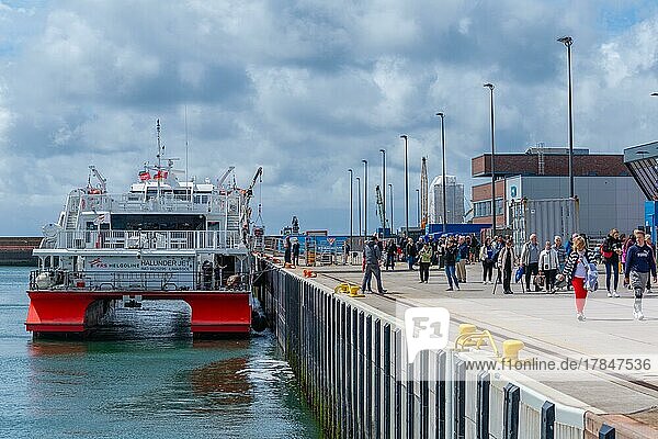 Arrival of the excursion ship in the outer harbour  catamaran Halunder Jet  passengers  quay  Helgoland  Schleswig-Holstein  Germany  Europe