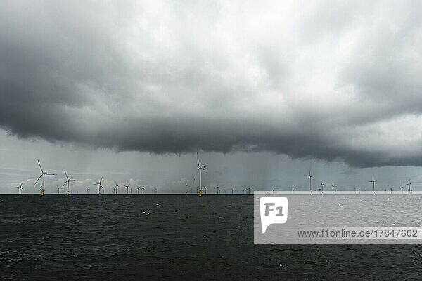 Meerwind offshore wind farm  economic zone  northwest of Helgoland  North Sea  Germany  Europe
