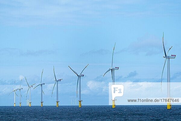 Meerwind offshore wind farm  economic zone  northwest of Helgoland  North Sea  Germany  Europe