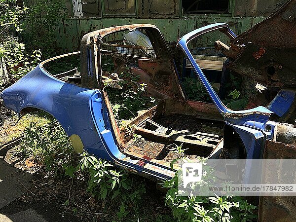 Rostige Karosserie von Wrack historischer klassischer Sportwagen Oldtimer Classic Car Porsche 911 Targa liegt in Hinterhof wird von Pflanzen bewachsen Deutschland Europa