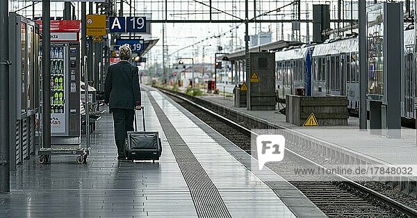 Reisende und Züge am Hauptbahnhof  Frankfurt am Main  Hessen  Deutschland  Europa