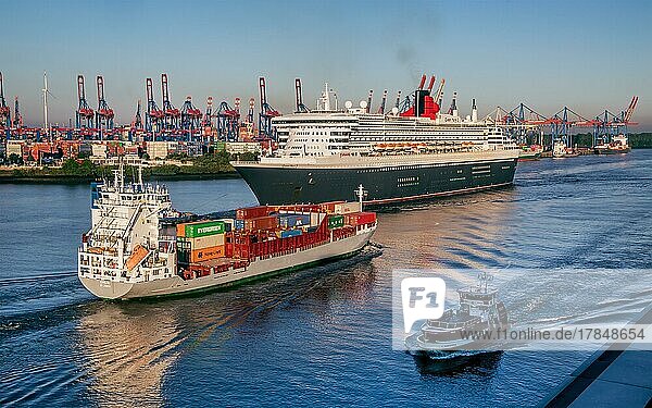 Cruise ship  transatlantic liner Queen Mary 2 on the Elbe in the port of Hamburg in the early morning sun  Hamburg  Land Hamburg  Northern Germany  Germany  Europe