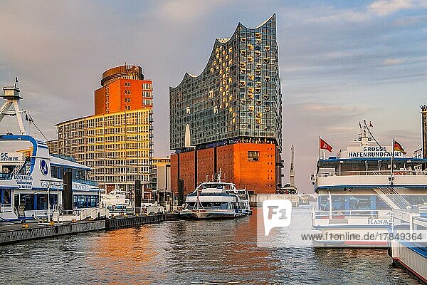 Elbphilharmonie an der Elbe im Hamburger Hafen bei Abendsonne  Hamburg  Land Hamburg  Norddeutschland  Deutschland  Europa