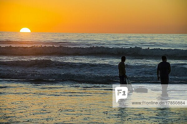 Surfers in backlight in the ocean of Del Mar  California  USA  North America