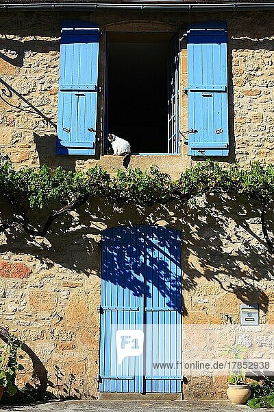 Katze sitzt in einem offenen Fenster mit blauen Fensterläden  Montignac-Lascaux  Departement Dordogne  Region Aquitanien  Frankreich  Europa