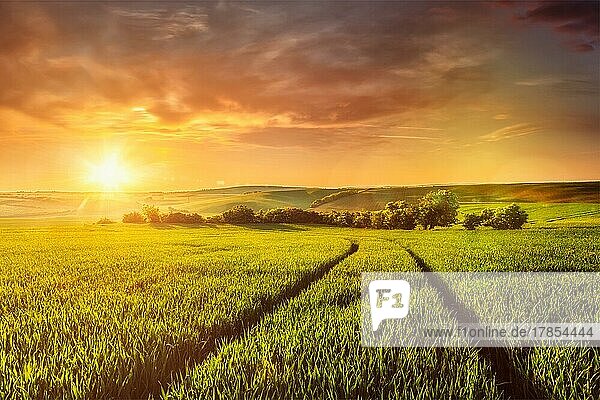Schöner Sonnenuntergang in den Feldern von Mähren  Tschechische Republik. Mit Streulicht und Linsenreflexion
