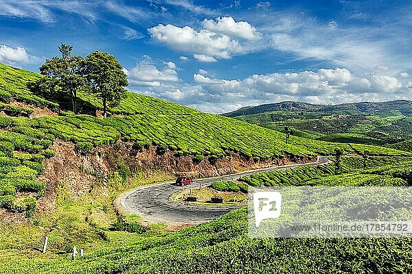 Kerala Indien Reise Hintergrund  Auto auf der Straße in grünen Teeplantagen in Munnar  Kerala  Indien  Asien