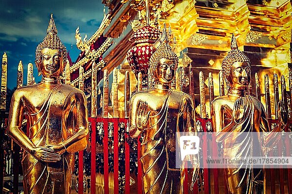 Reisen Thailand Buddhismus Religion  Vintage Retro-Effekt gefiltert Hipster-Stil Bild von Gold Buddha-Statuen im Wat Phra That Doi Suthep  Chiang Mai  Thailand  Asien