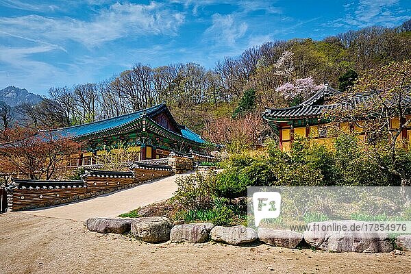 Buddhistischer Tempel Sinheungsa im Seoraksan-Nationalpark  Seoraksan  Südkorea  Asien