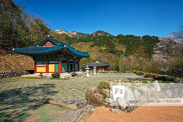 Buddhistischer Tempel Sinheungsa im Seoraksan-Nationalpark  Soraksan  Südkorea  Asien