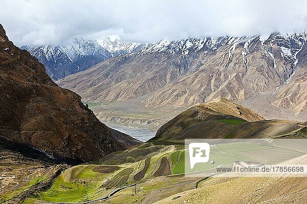 Fields in Spiti Valley in Himalayas. Himachal Pradesh  India  Asia