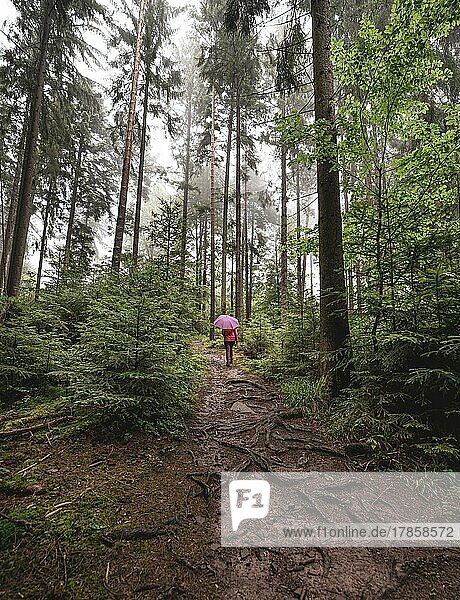 Lonely woman in red with pink umbrella in the middle of the forest  Black Forest  Germany  Europe