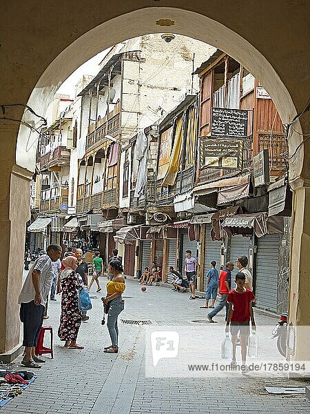 Residential alley in the old town  Fez or Fez  Morocco  Africa