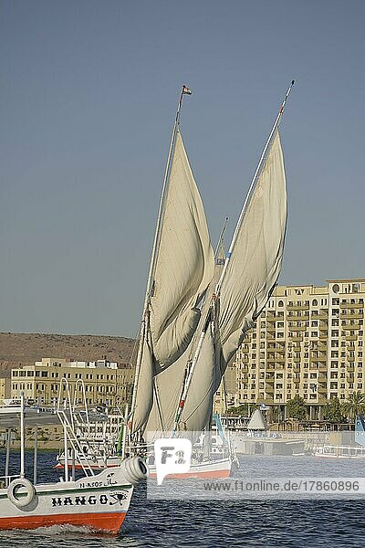 Segelschiffe  Ausflugsboote auf dem Nil bei Assuan  Ägypten  Afrika
