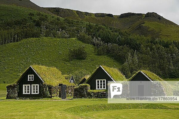 Historischer Bauernhof mit Grassodengebäuden im Museum Skógasafn  Skogar  Island  Europa