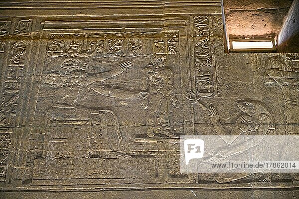 Bas-relief with ritual scenes in the Isis temple  Philae temple complex  Aswan  Egypt  Africa