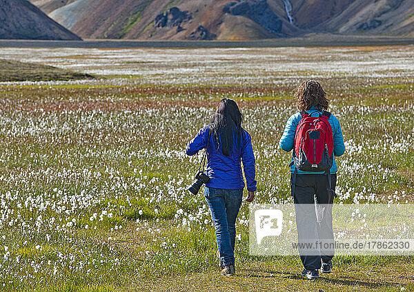 female friends hiking in Landmannalaugar / Iceland