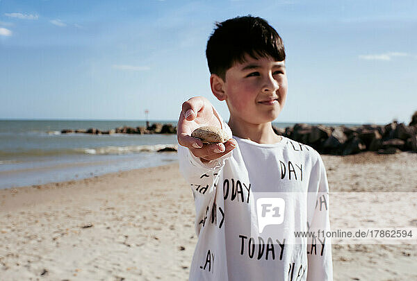 Asian boy stood at the beach holding a rock in summer