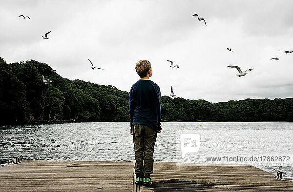 boy standing on a dock looking up at a sky full of birds
